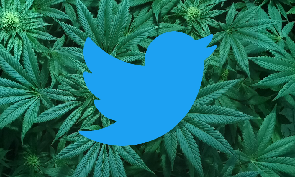 Twitter’s New Marijuana Advertising Policy Still Doesn’t Allow Ads For Marijuana Product Sales