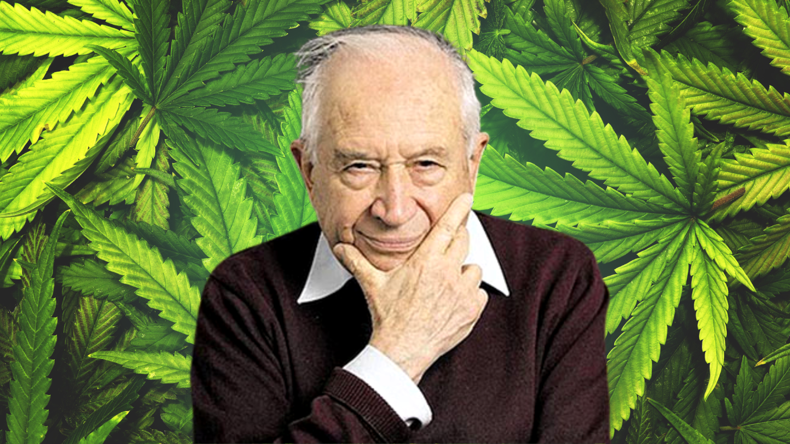Raphael Mechoulam: A Pioneer of Cannabis Research