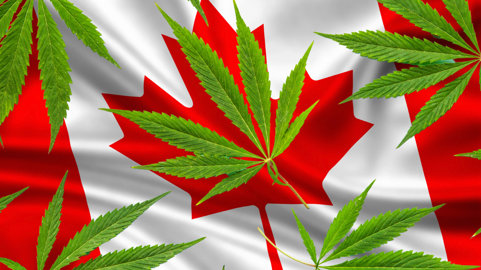 A New Era for Cannabis Regulations: Canada Seeks Input from Industry Leaders