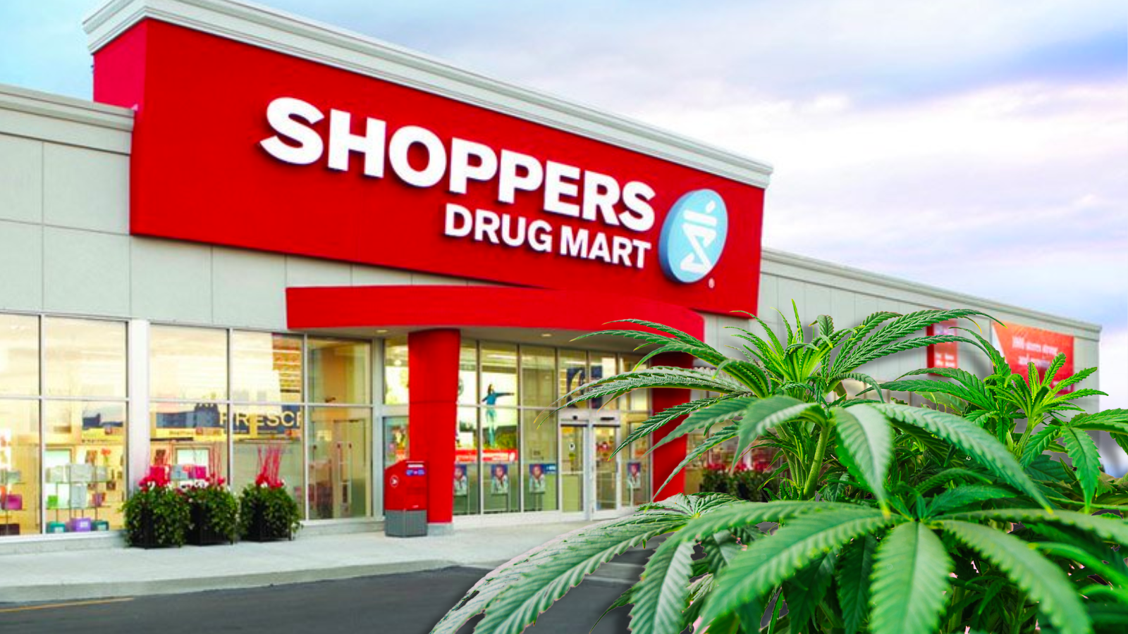 Shoppers Drug Mart Leaves Medical Cannabis Users In The Dark!
