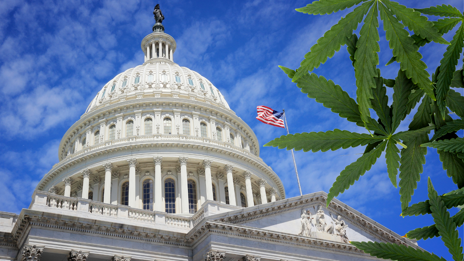 Revolutionizing the Cannabis Industry: Washington State’s New Law