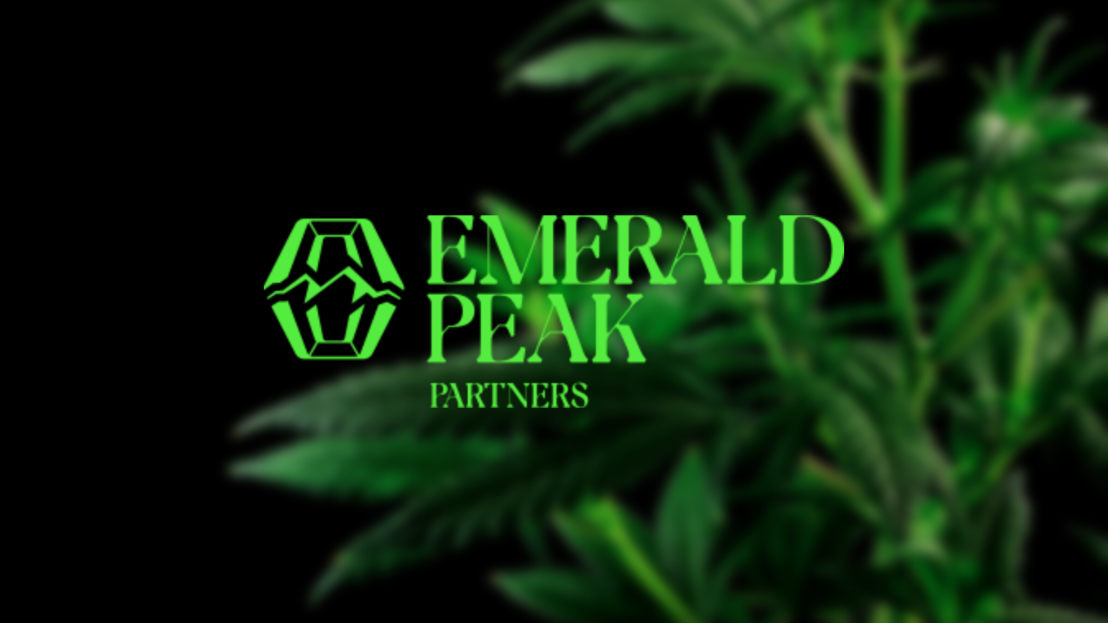 Emerald Peak Partners: The Game Changers Igniting Success For Cannabis Companies In The New Era!