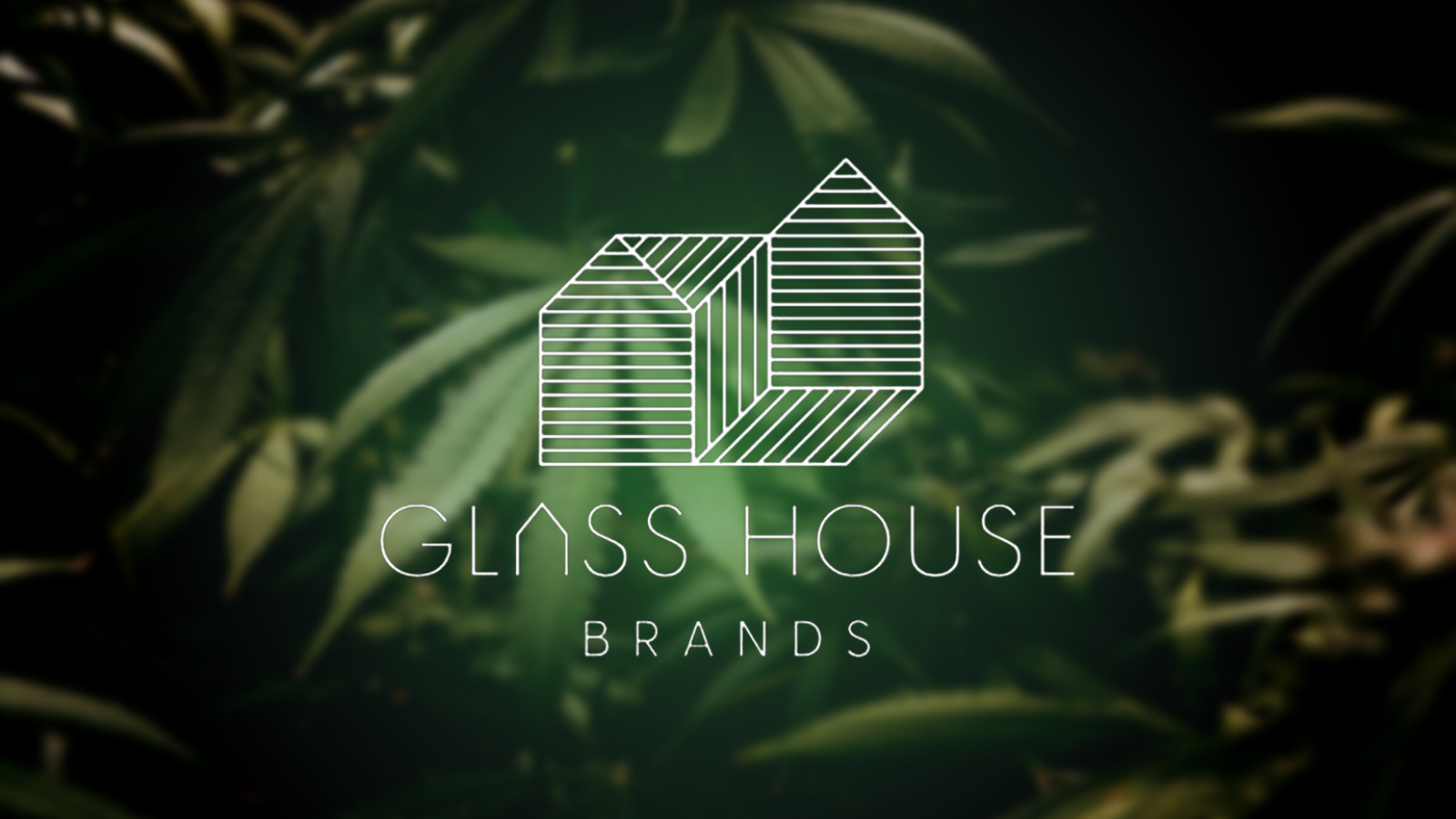 Glass House Brands Makes Big Moves with Turlock Dispensary Acquisition