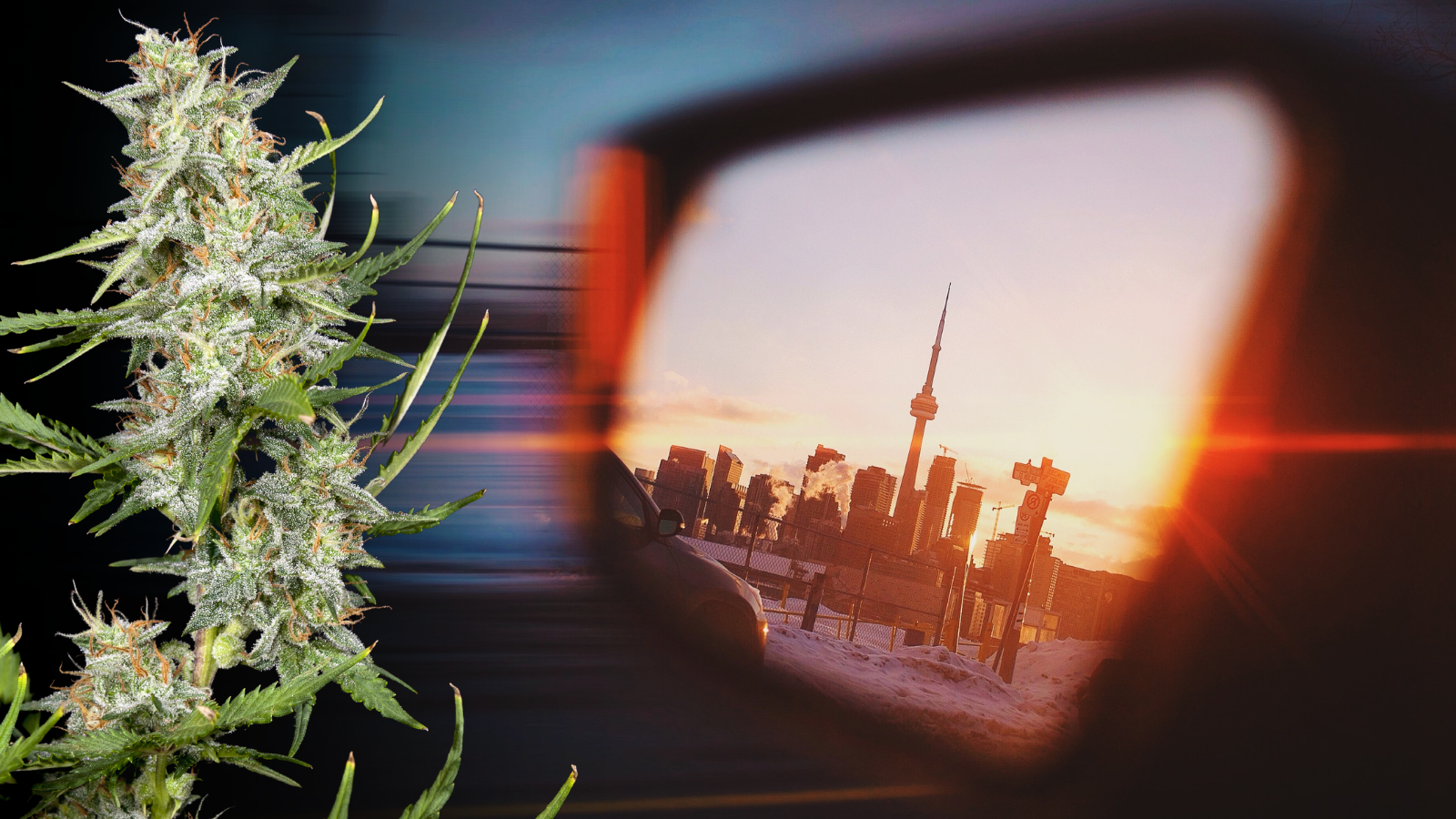 The Terrifying Truth Behind Frosted Windows in Toronto Cannabis Shops
