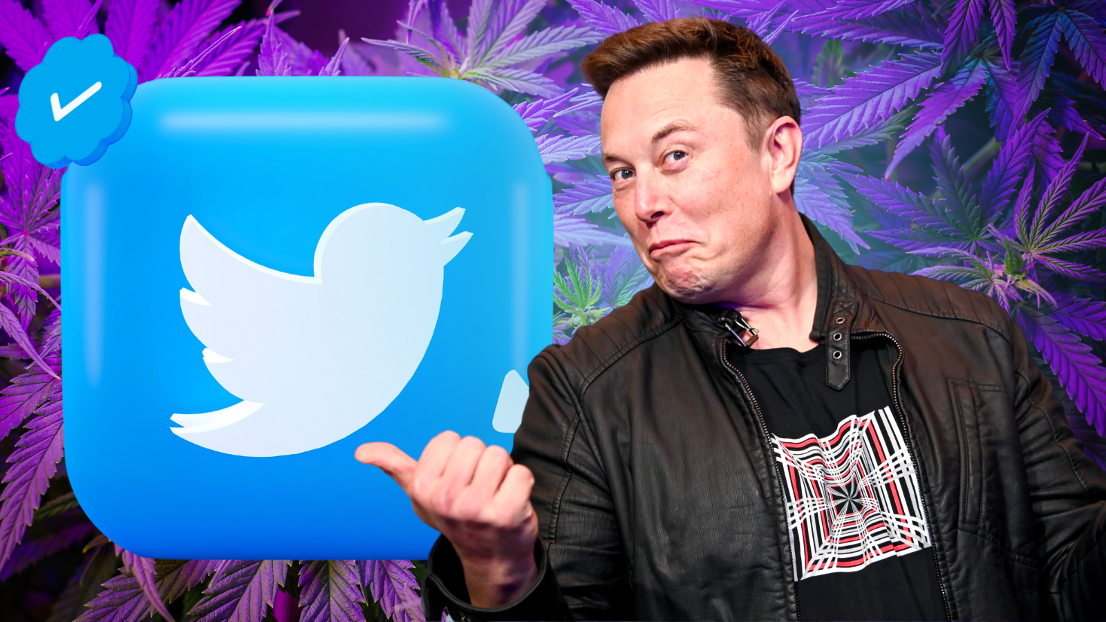 The Future Of Cannabis Advertising: Twitter Latest Update