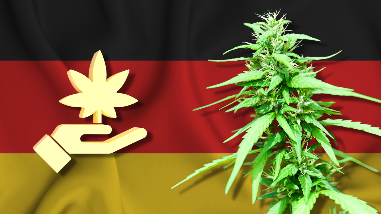 Revolutionizing! Germany’s New Marijuana Plan