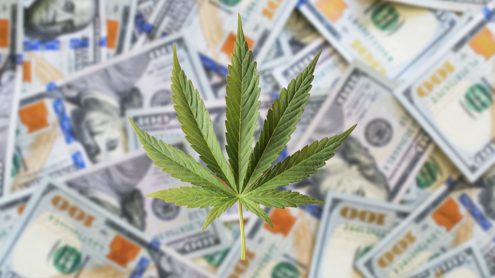 Cannabis Stocks Soar as New Bill Paves Way for SAFE Banking Solutions!