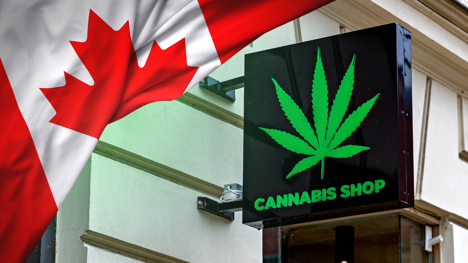 A New Era Dawns: Mississauga Celebrates Cannabis Store Launch