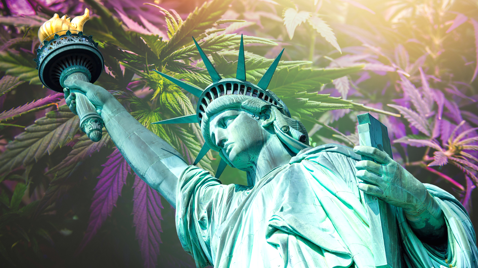 Fueling Hope: New York’s Journey to a Thriving Cannabis Market