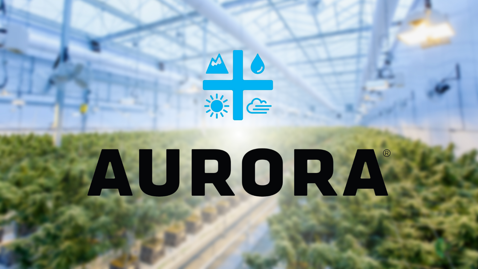 Aurora Sells Aurora Sun To Bevo