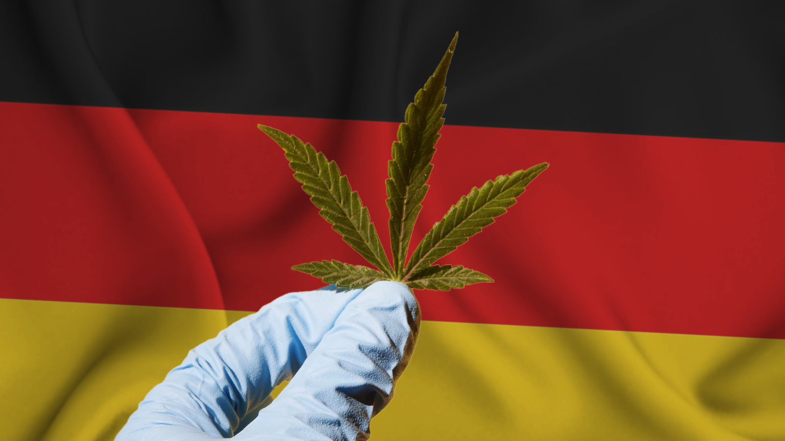 A New Era: Germany Introduces Draft Bill to End Cannabis Prohibition