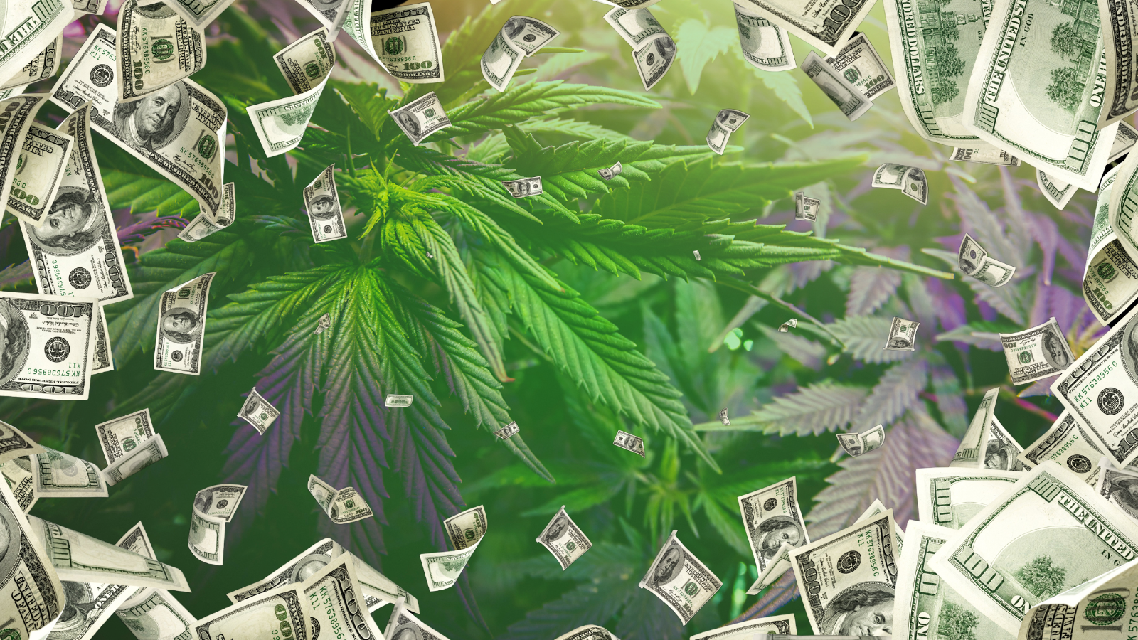 Cannabis $2B Merger Deal Abandoned: Cresco & Columbia