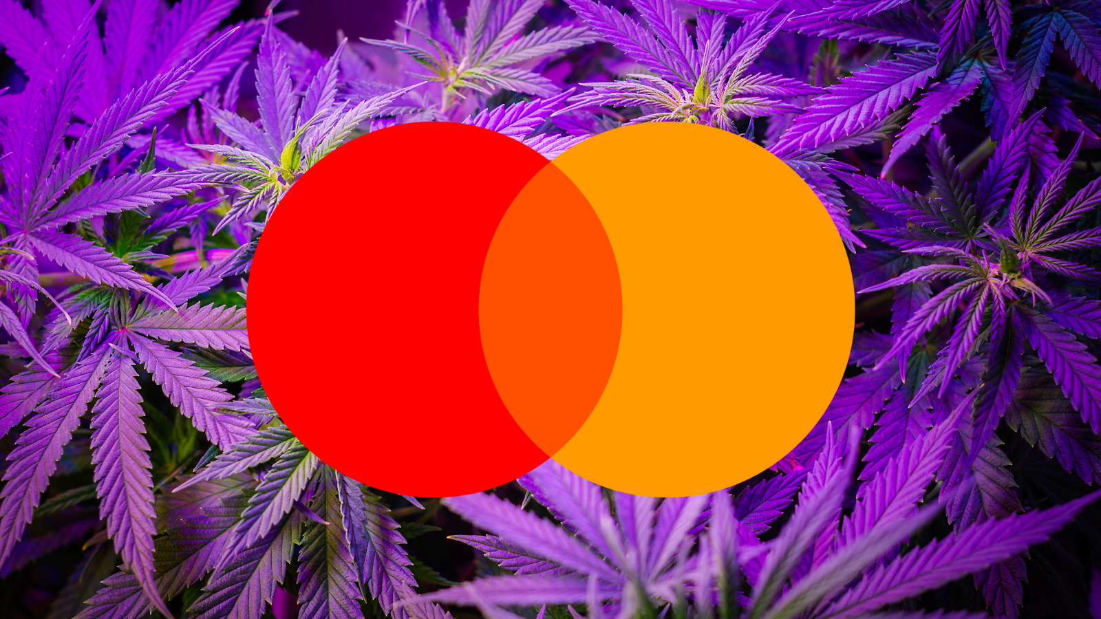Mastercard Moves to Ban Cannabis Purchases on Its Debit Cards