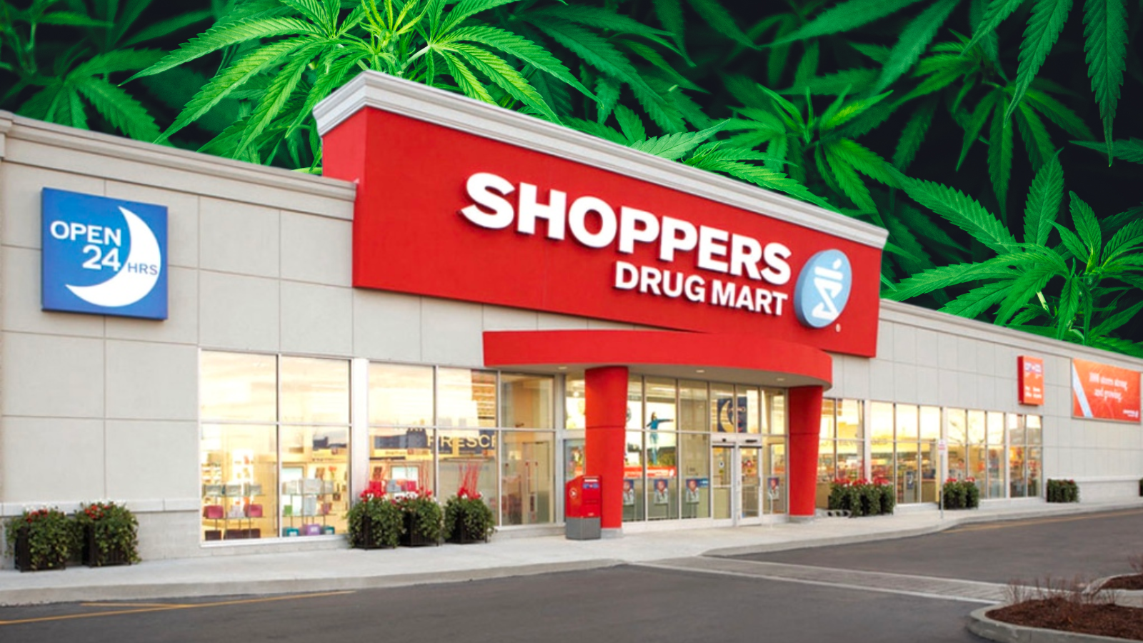 Avicanna’s Successful Shoppers Drug Mart Purchase