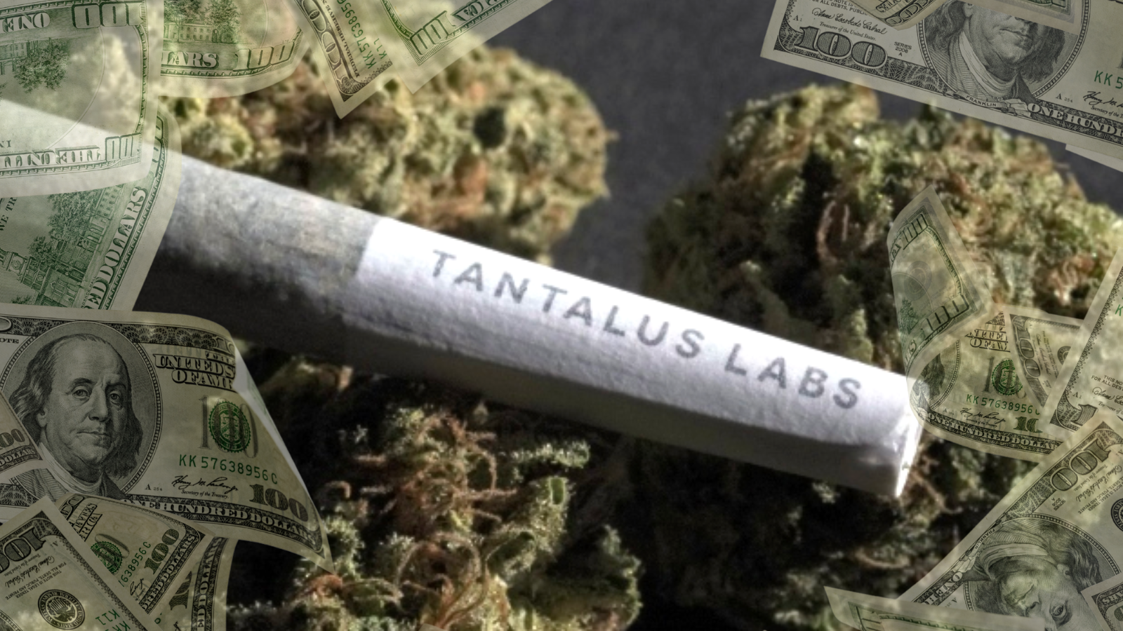 Tantalus Labs Merges with Atlantic Cultivation for Growth
